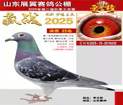 山东展翼决赛22名