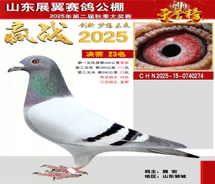 山东展翼决赛23名