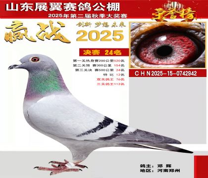 山东展翼决赛24名