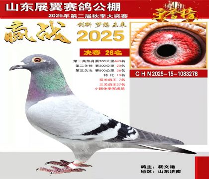 山东展翼决赛26名