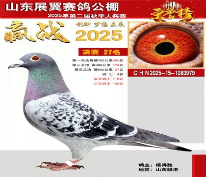 山东展翼决赛27名