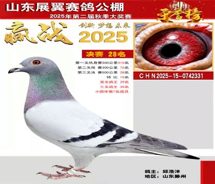 山东展翼决赛28名