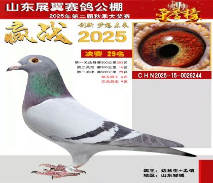 山东展翼决赛29名