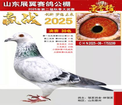 山东展翼决赛30名