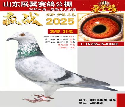 山东展翼决赛31名