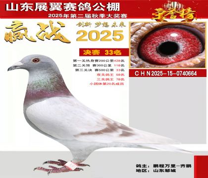 山东展翼决赛33名