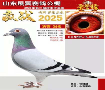 山东展翼决赛34名