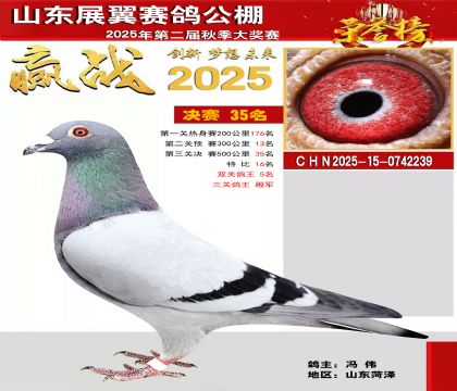 山东展翼决赛35名