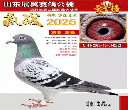 山东展翼决赛38名