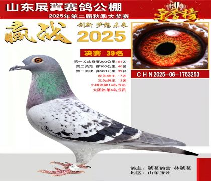 山东展翼决赛39名