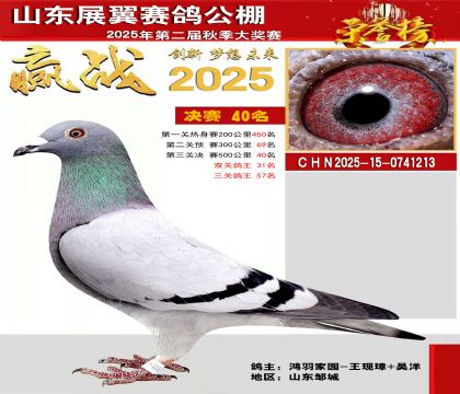 山东展翼决赛40名