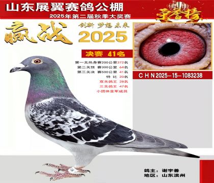 山东展翼决赛41名