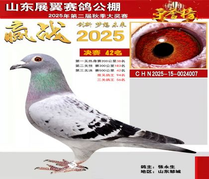 山东展翼决赛42名