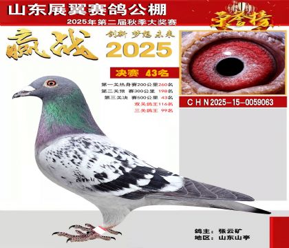 山东展翼决赛43名