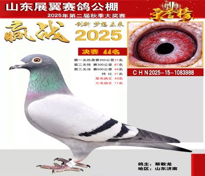 山东展翼决赛44名