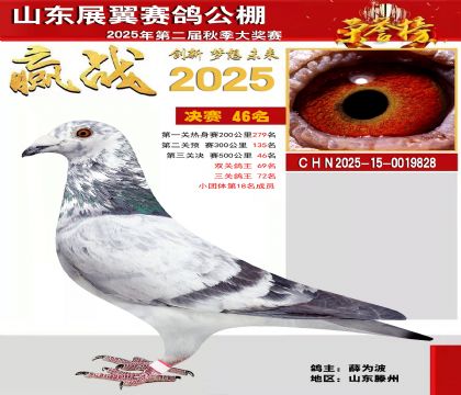 山东展翼决赛46名