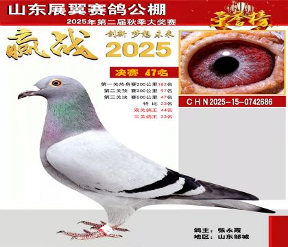 山东展翼决赛47名