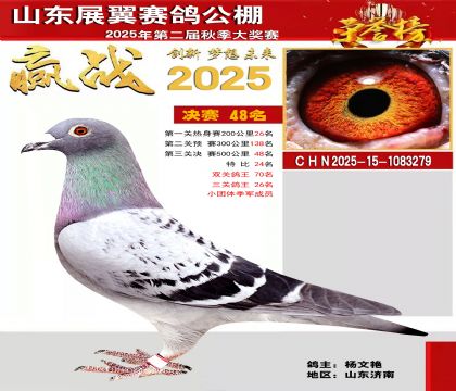 山东展翼决赛48名