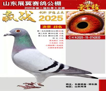 山东展翼决赛49名