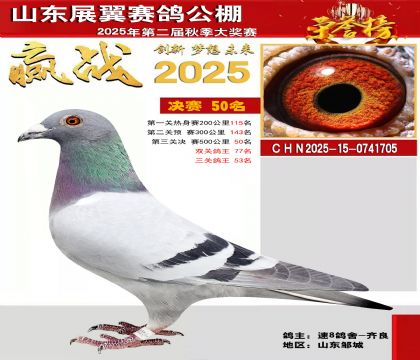 山东展翼决赛50名