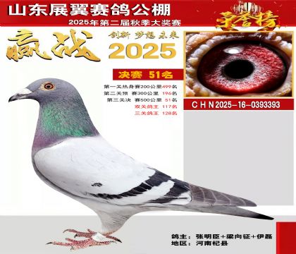 山东展翼决赛51名