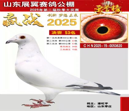 山东展翼决赛53名