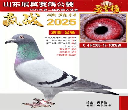 山东展翼决赛54名