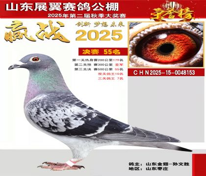 山东展翼决赛55名