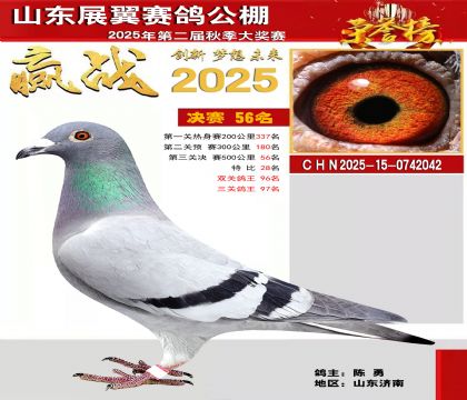 山东展翼决赛56名