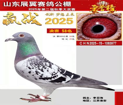 山东展翼决赛58名