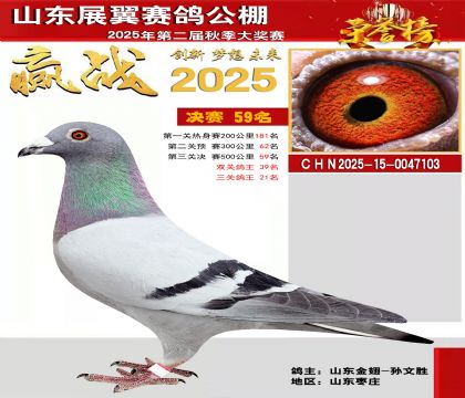 山东展翼决赛59名