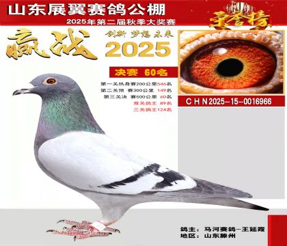 山东展翼决赛60名