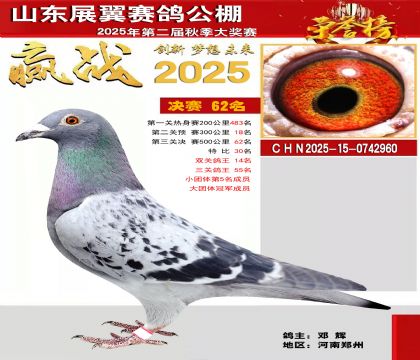 山东展翼决赛62名