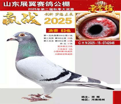 山东展翼决赛63名