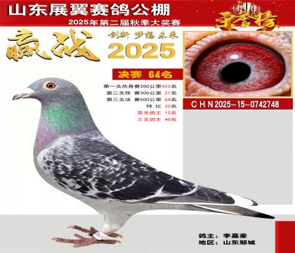 山东展翼决赛64名