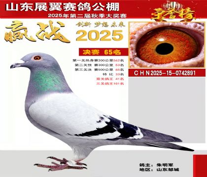 山东展翼决赛65名