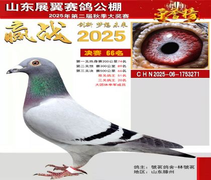 山东展翼决赛66名