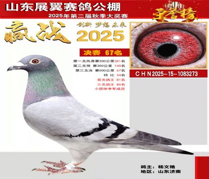 山东展翼决赛67名