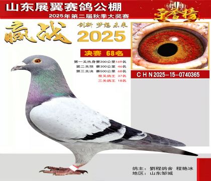 山东展翼决赛68名