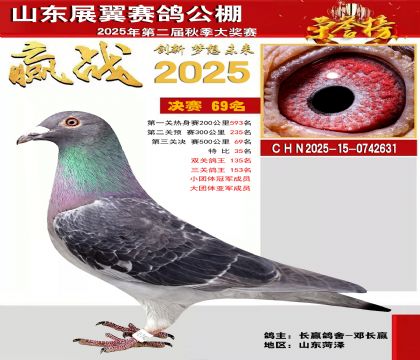 山东展翼决赛69名