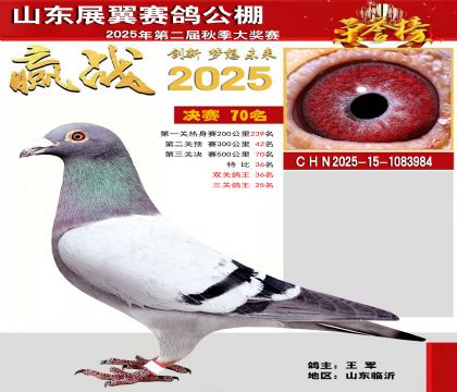 山东展翼决赛70名