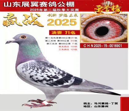 山东展翼决赛71名