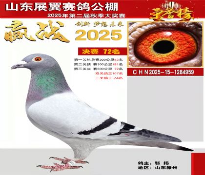 山东展翼决赛72名