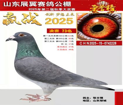 山东展翼决赛73名