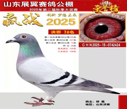 山东展翼决赛74名