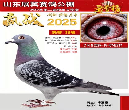 山东展翼决赛76名