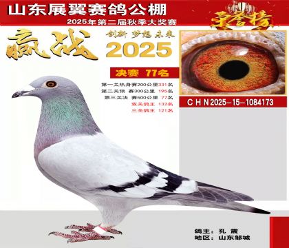 山东展翼决赛77名