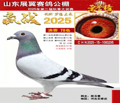 山东展翼决赛78名