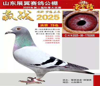 山东展翼决赛79名