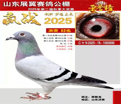 山东展翼决赛82名